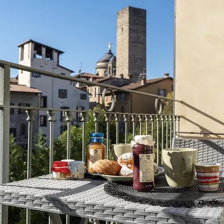 Solata 6 Exclusive *