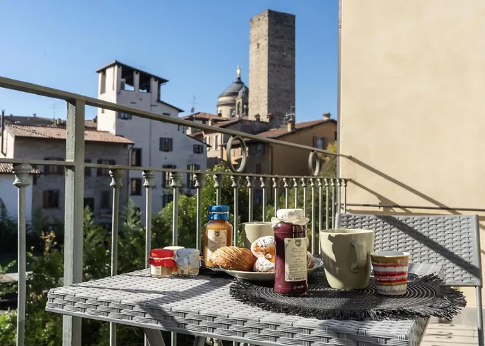 Solata 6 Exclusive *